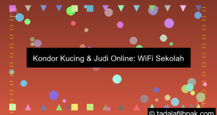 Kondor Kucing Edarkan Slot Online Lewat Wifi Sekolah