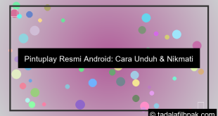 pintuplay resmi android
